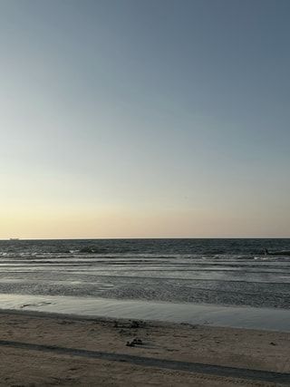 the coast