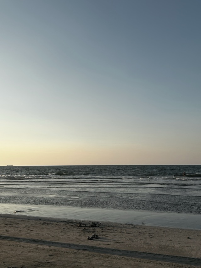 the coast