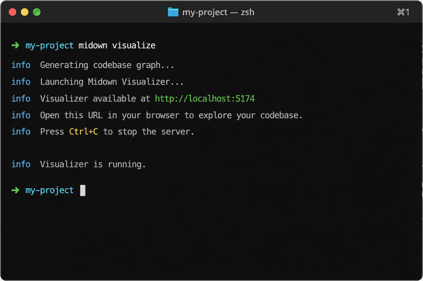 the midown visualizer open in a browser